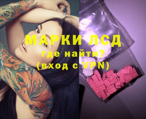apvp Надым