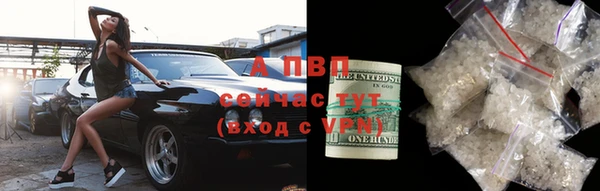 крисы Аркадак