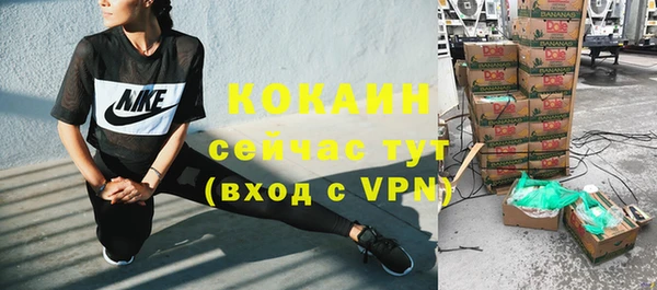 шишки Балахна