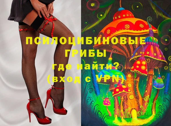 шишки Балахна