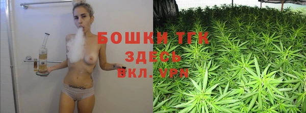 шишки Балахна