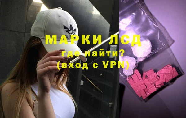 дживик Баксан